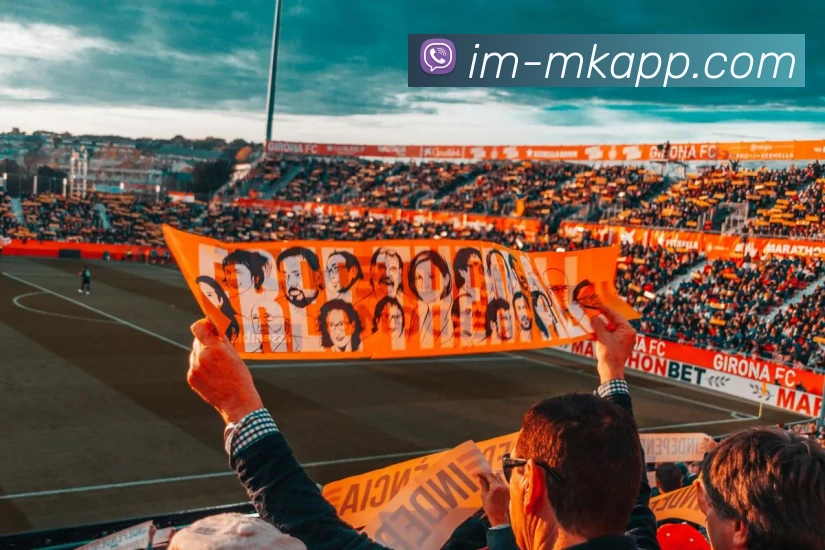 MK体育全站App
