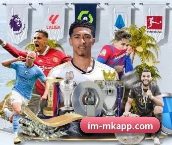 MK体育 APP